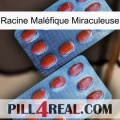 Racine Maléfique Miraculeuse 05